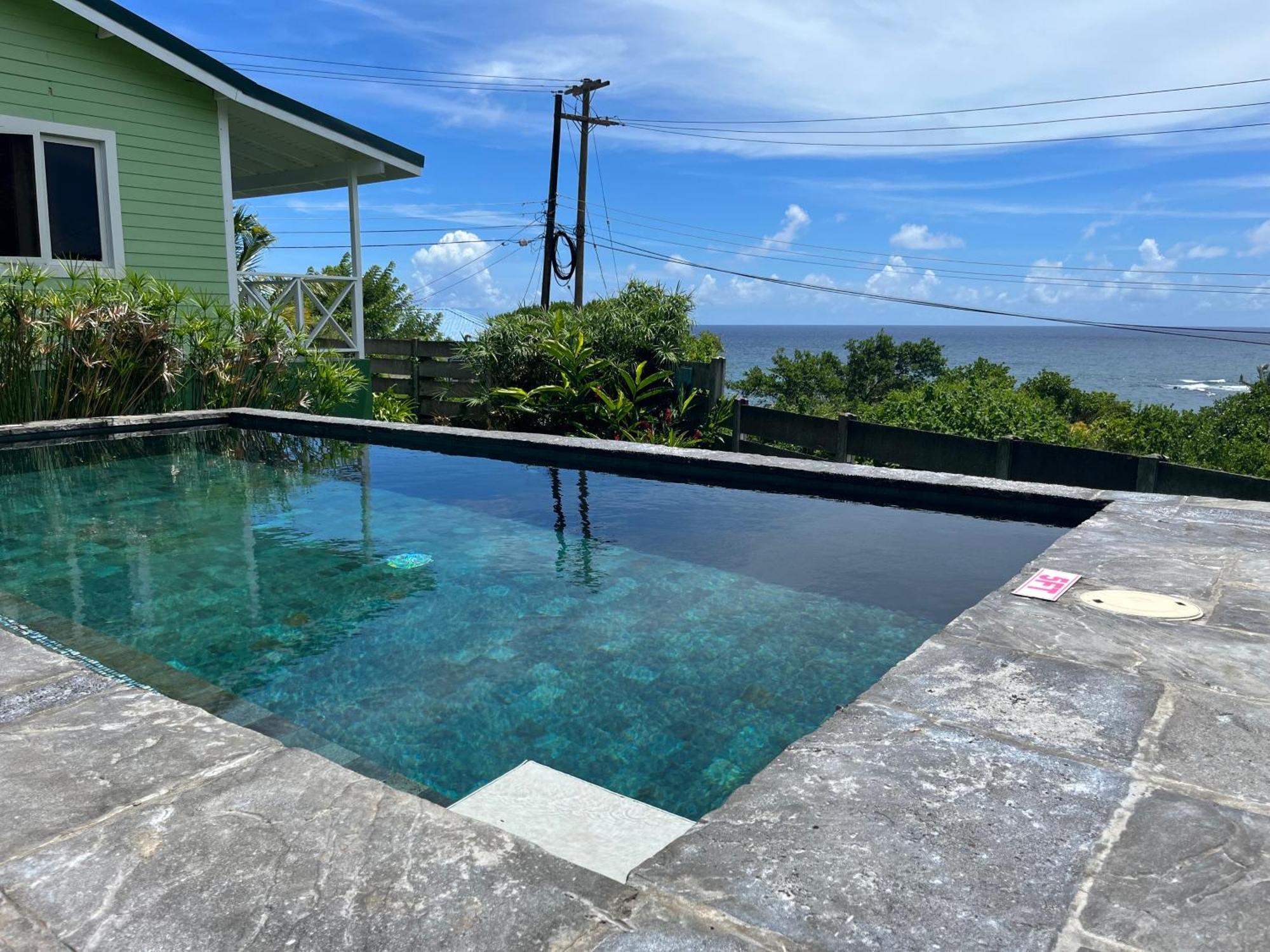 Waves Villa Guesthouse كينغستاون المظهر الخارجي الصورة